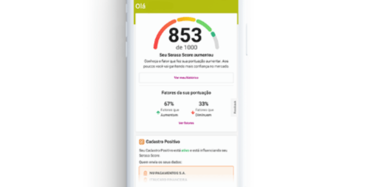 Dicas e Consulta para Aumentar seu Serasa Score de Forma Rápida