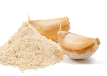 Prepare o seu próprio Alho em Pó em casa e transforme suas Receitas completamente