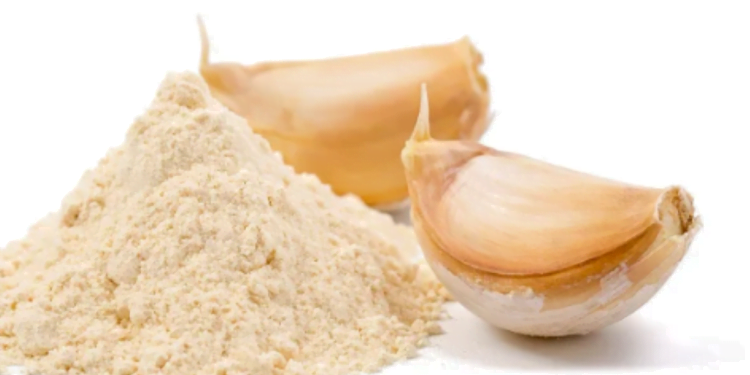 Prepare o seu próprio Alho em Pó em casa e transforme suas Receitas completamente