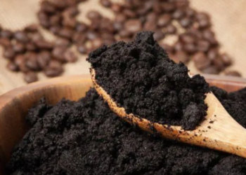 18 formas inusitadas de Usar Borra de Café para limpar a casa e nutrir suas Plantas
