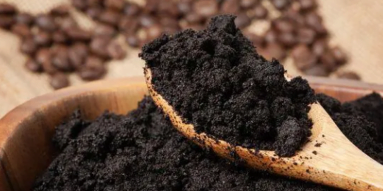 18 formas inusitadas de Usar Borra de Café para limpar a casa e nutrir suas Plantas