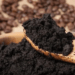 18 formas inusitadas de Usar Borra de Café para limpar a casa e nutrir suas Plantas