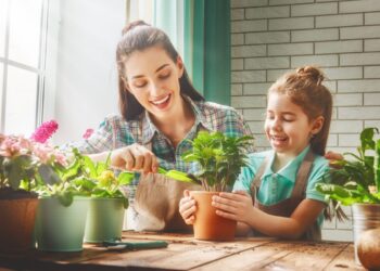 Tenha PLANTAS LINDAS: Confira 7 segredos de jardineiros