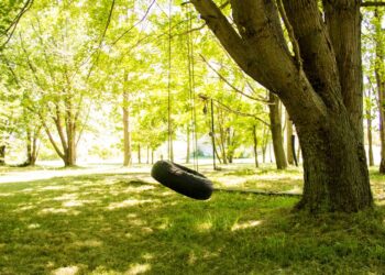 5 maneiras incríveis de reaproveitar pneu velho