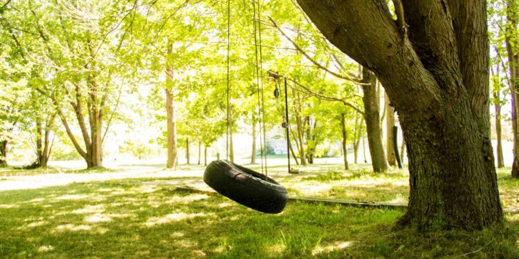 5 maneiras incríveis de reaproveitar pneu velho