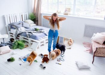 Como evitar bagunça com pets em casa?