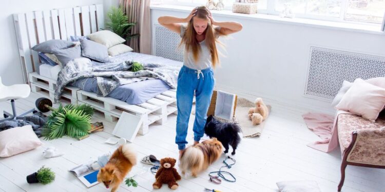 Como evitar bagunça com pets em casa?
