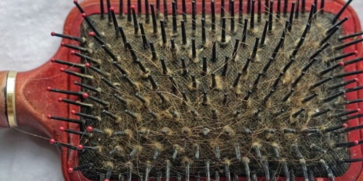 Como limpar escova de cabelo?