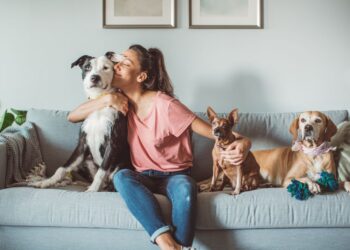 Como manter o sofá cheiroso com pet em casa?