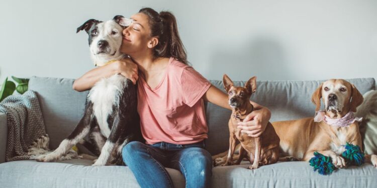 Como manter o sofá cheiroso com pet em casa?