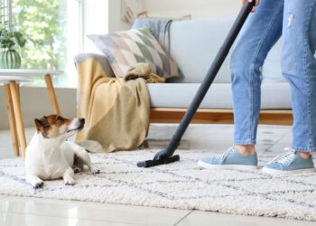 Dicas de limpeza para quem tem animais de estimação em casa