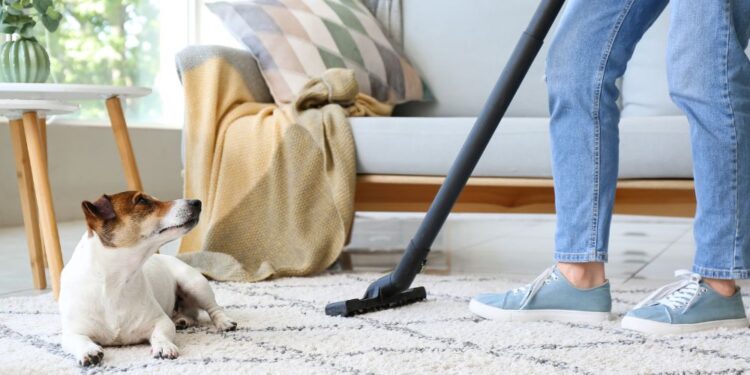 Dicas de limpeza para quem tem animais de estimação em casa