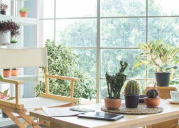 É por isto que você deve ter plantas em casa!
