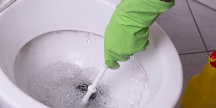 Limpeza de manutenção do banheiro: Veja dicas