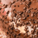 bolo 4 chocolates com crosta crocante
