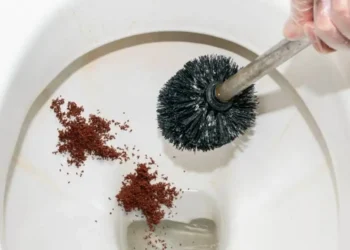 TRUQUE DE MESTRE: Você sabe porque as pessoas estão jogando pó de café no vaso sanitário?