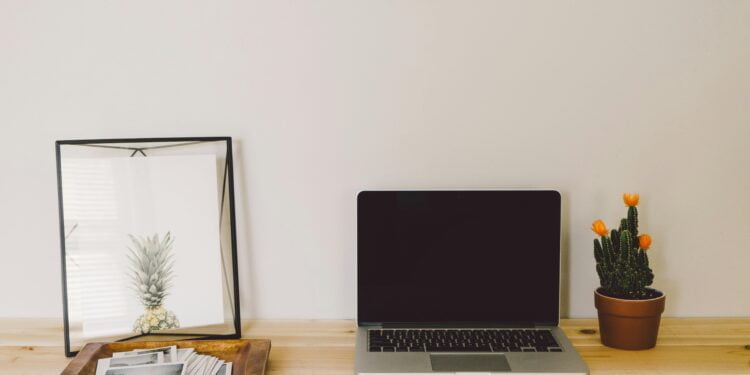 principais plantas para escritório