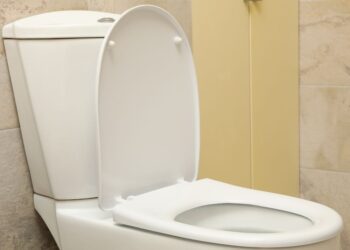 Aprenda a branquear o assento do vaso sanitário com este truque