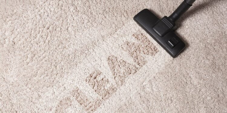 Aprenda a reduzir a poeira da casa para dizer adeus à alergia