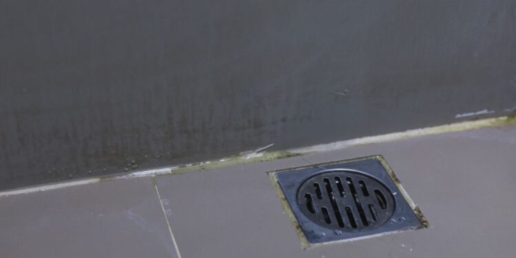 Coloque ESTE ingrediente no ralo do banheiro e veja a mágica!