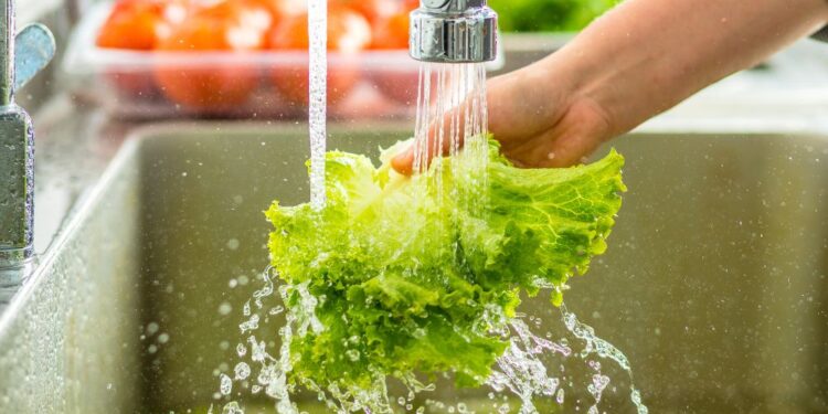 Confira o passo a passo para desinfetar saladas corretamente!