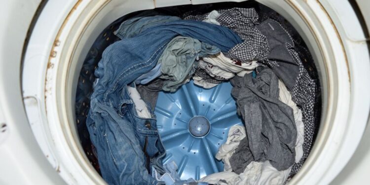 Cuidado: não deixe roupa molhada na máquina! Veja os motivos