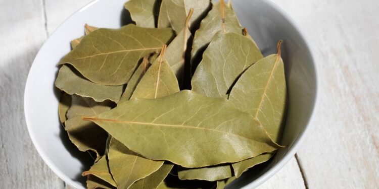 É por isto que você deveria colocar folha de louro nas gavetas da cozinha