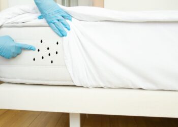 Mistura caseira que elimina ácaros facilmente: Conheça a receita