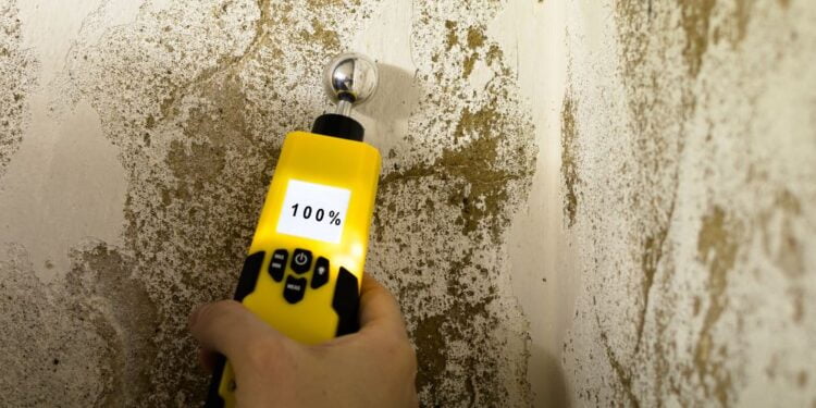 Sua casa tem cheiro de umidade e mofo? Veja como resolver!