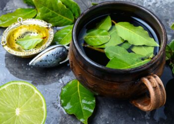 chá de limão com louro