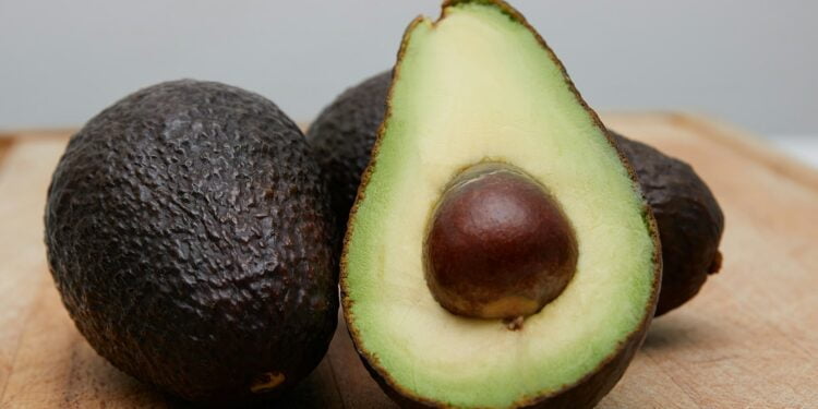 receitas com abacate