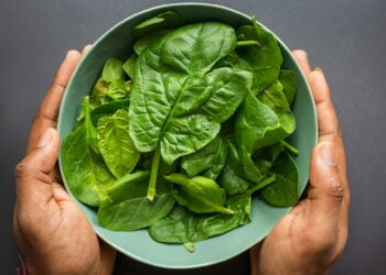 alimentos da época de junho