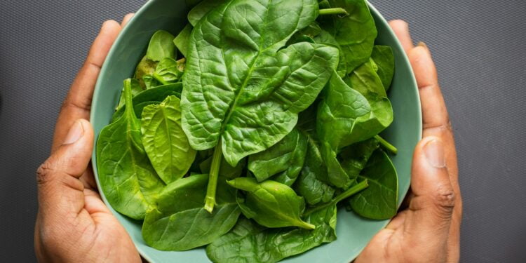 alimentos da época de junho