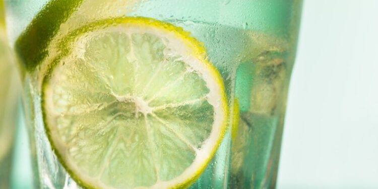 Água com Limão todos os dias: Confira os reais Efeitos dessa mistura em seu Corpo