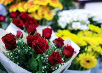 flores para presentear no dia das mães