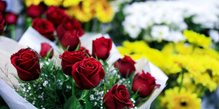 flores para presentear no dia das mães