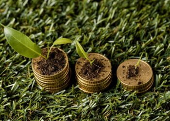 Cidades Mineiras Buscam implementar suas próprias MOEDAS; Confira