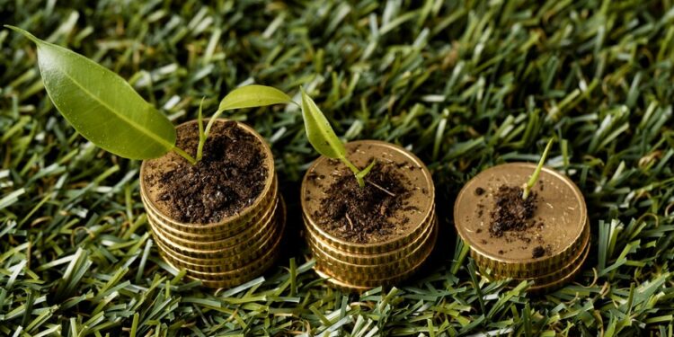 Cidades Mineiras Buscam implementar suas próprias MOEDAS; Confira