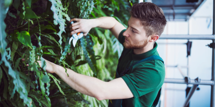 como-fazer-um-jardim-vertical