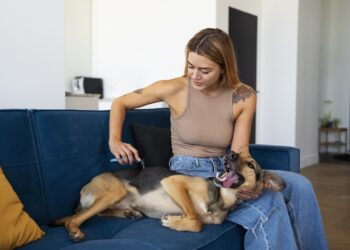 Pelos por Toda Parte? Dicas para uma Casa Sempre Limpa!
