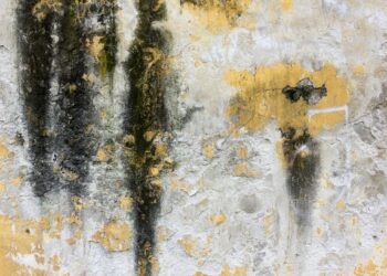 como remover manchas da parede