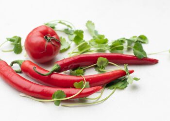 alimentos que queimam gordura