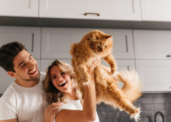 Dicas de como medicar os gatos