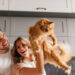 Dicas de como medicar os gatos
