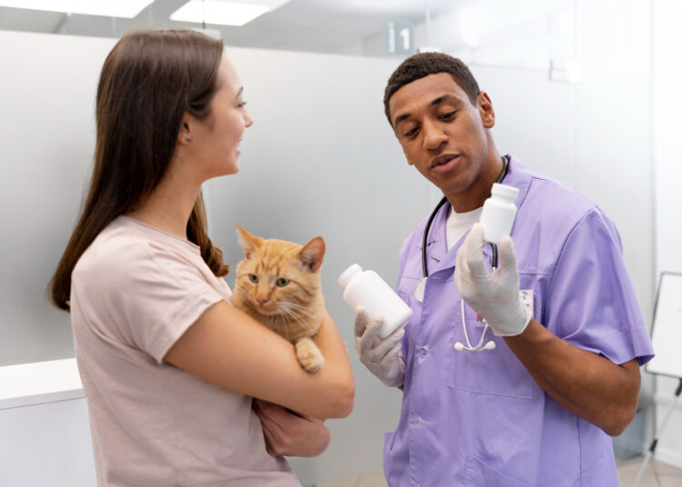 Dicas de como medicar os gatos