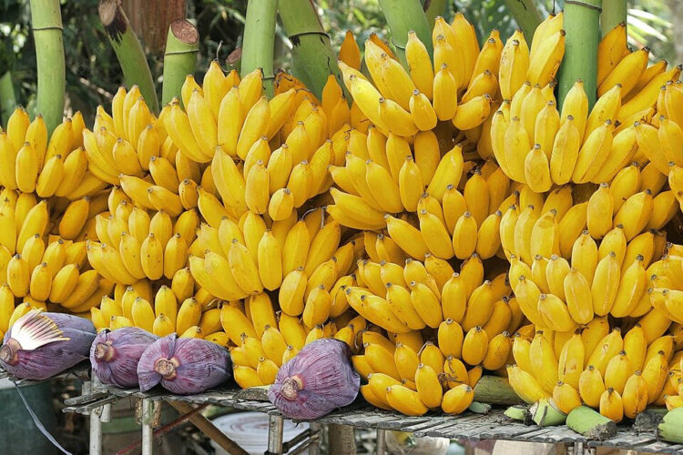 Manter as bananas em cachos pode ser uma excelente forma de armazenamento