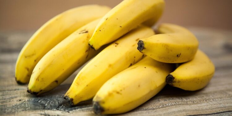 Veja como armazenar bananas da forma correta