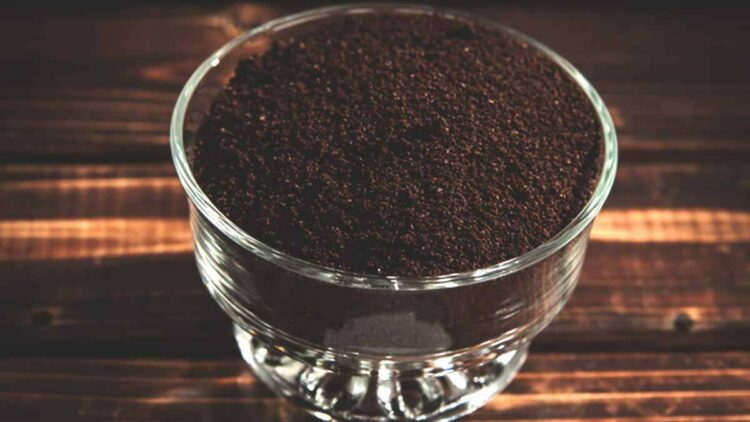 Borra de café moído em um recipiente, utilizada para neutralizar odores.